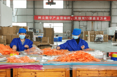 天貓雙11開(kāi)門紅 產(chǎn)業(yè)帶爆發(fā)式增長(zhǎng)，7個(gè)產(chǎn)地首小時(shí)銷售額破億，日用百貨引領(lǐng)消費(fèi)熱潮