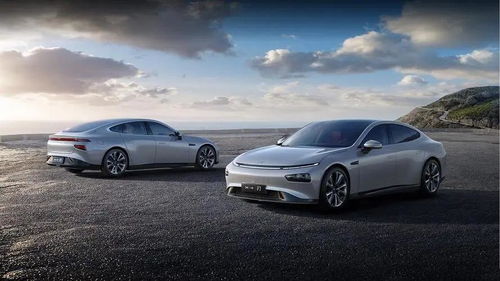 特斯拉再度降價掀起行業(yè)風暴 小鵬汽車陷入生死局，傳統(tǒng)代理模式面臨重構